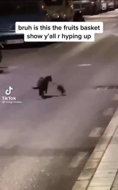 I CANT I CANTTT (credits to onigirikawa on tiktok)