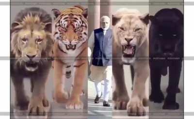 Happy Birthday Hindu Sher PM Narendra Modiji