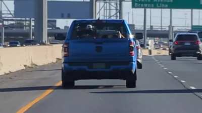 Poor Dog in Pickup Truck