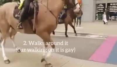 Sigma Horse Grindset