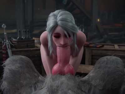 Could you take such good care of it? (meis3d) [Witcher 3]