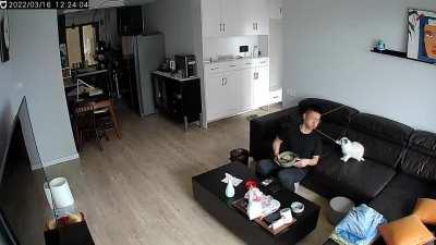 Assassin making it look like an Epstein