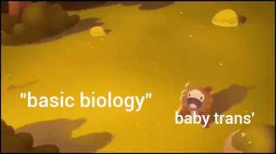 I should be sleeping