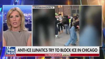Democratic congressional candidate assaulted by ICE agent while protesting. Fox host (with glee) says 