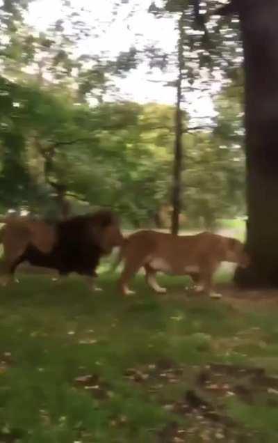 The mother was dead inside