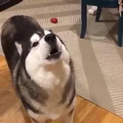 Just singing along to my favorite song.