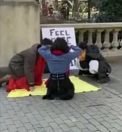 I literally can't even....