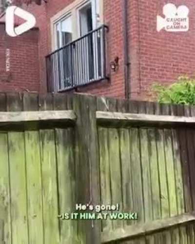 What a wonderful world