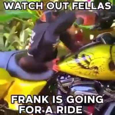 Watch out ladies. Franks goin for a ride
