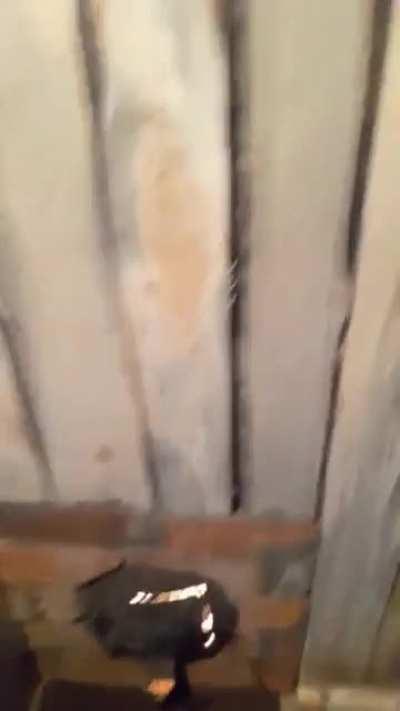 Ukrainians Built a Trench Sauna.. Squealing Finnish Noises Commence