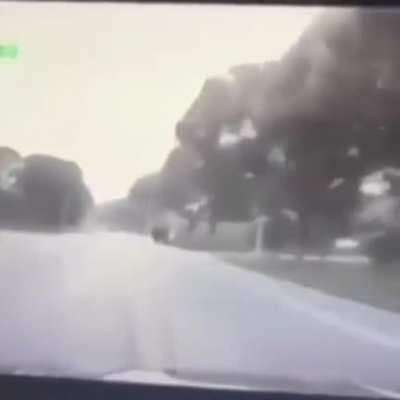 Driver Falls Asleep (from another sub & I don't believe it's been posted here before)