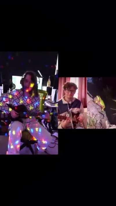 🪩🐸 Disco Frog 🐸🪩