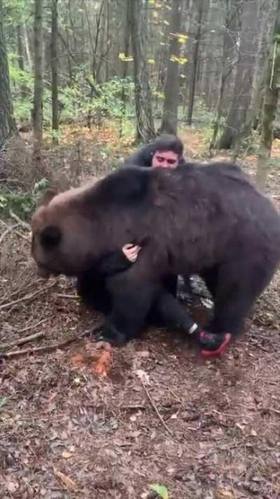 Bear Loves Wrestling with Two Guys.