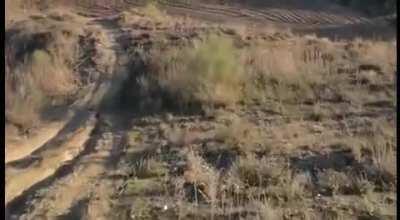 Yo que pollas voy a frenar 😡