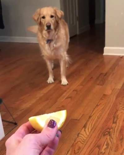 ultimate anime betrayal