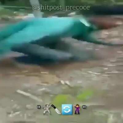 &iquest;Mejor video du mundo?