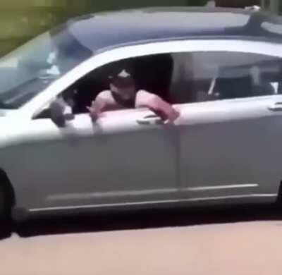 Damn that's crazy, DID YOU SEE THAT HOOMAN?