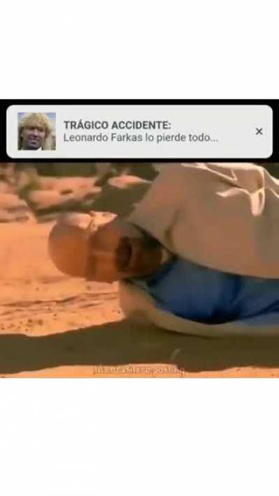Leonardo farkas lo pierde todo