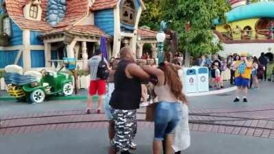 Insane incident at Disneyland.