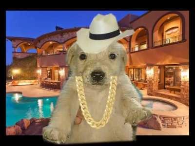 Pacas verdes 🤑🤙