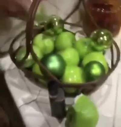 First one was fake? What could go wrong if I bite another one?