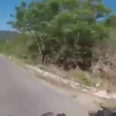 Hey bud, high FIVE 👋