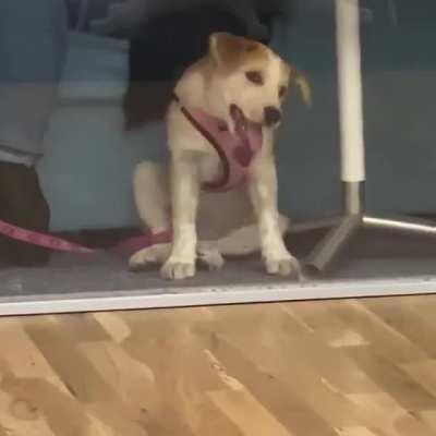 To fight the glass with your tongue...