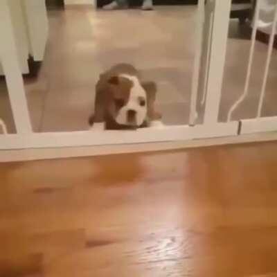 He did try his best though