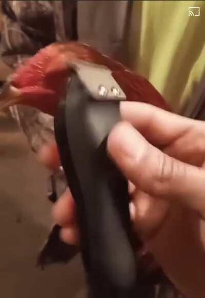 Getting ready for Valentine’s Day