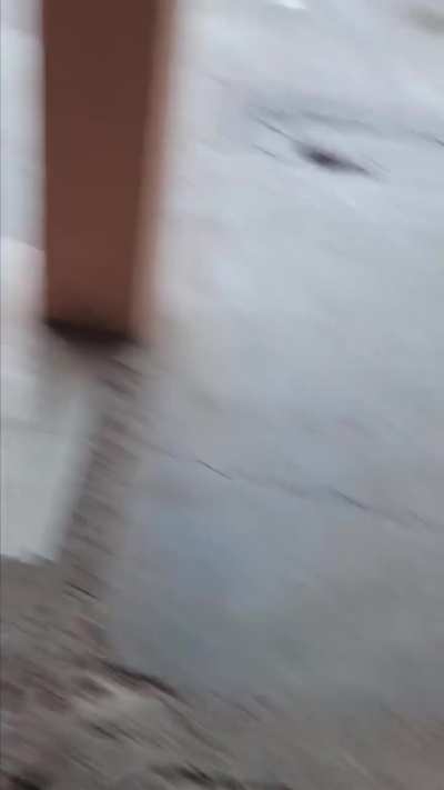 Que debería hacer rombo?