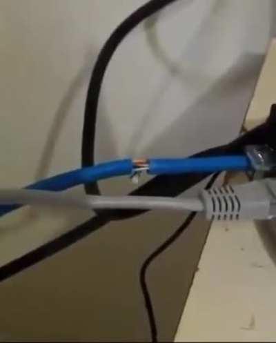 All the people I treated so cruelly on the internet