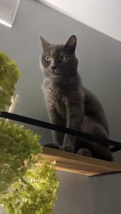 How do you like this part of the decor?