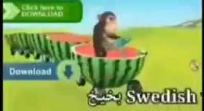 لماذا تبحث عن هذا بحق الجحيم؟