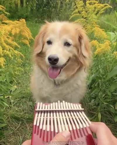 Think we all need a break