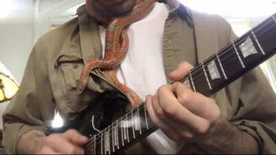 Snek helps me play guitar