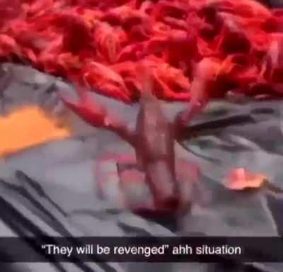 The Vengeful Overlord, Last of the Lobsters