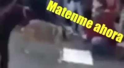 Este es tu idolo? el mio si