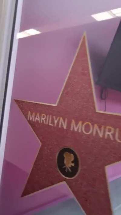 Pampering Sammy 6/9/2023