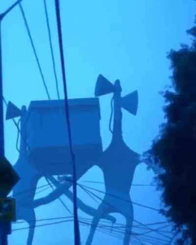 credit to whoever made this