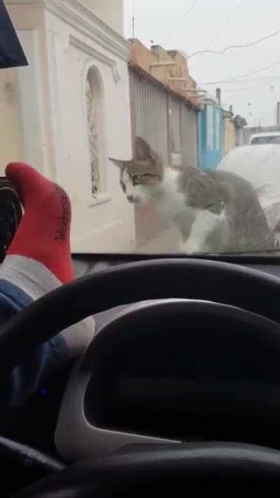 I like what you've done with you windshield