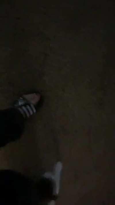 Trying to walk in the mornings with this kitty…