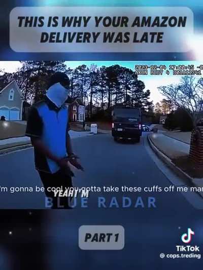 So I can steal from Amazon as long as the driver is passionate about their job and they will get punished for it? Sign me up!