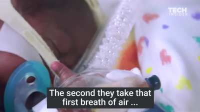 Low birth rates has a technological solution: Artificial Wombs. Elon Musk isn't building Artificial Wombs. Musk says he wants to increase birth rates but he doesn't ban adult content on his X (!) website which lowers birth rate. Is Elon Musk working for t