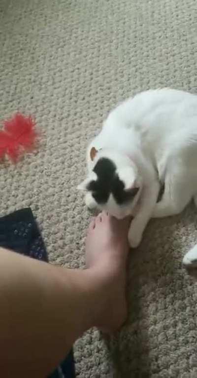 A bit dramatic if you ask me.