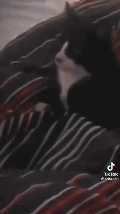 Well this is new ,god bless 