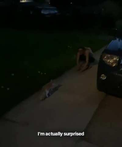 Stray cat follows couple from the beginning to the end