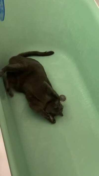 Bath taps!!! And the little low vibrating noise in the back is my cat purring against the tub😂