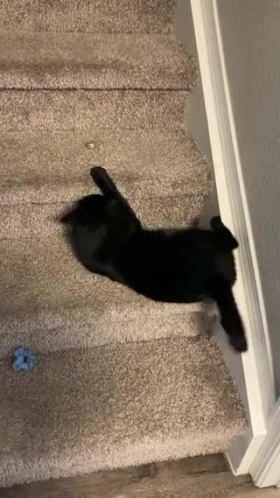 Greebles living under the staircase, Omie investigates