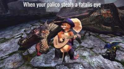 My cat still have balls