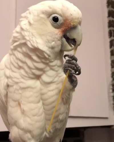 Scratching those itches with pasta